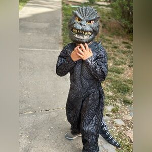 Kids Dinosaur Costume - Black and Gray